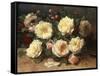 Pink and Yellow Roses-Jean Baptiste Claude Robie-Framed Stretched Canvas