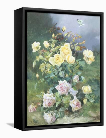 Pink and Yellow Roses-Alexandre Debrus-Framed Stretched Canvas