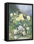 Pink and Yellow Roses-Alexandre Debrus-Framed Stretched Canvas