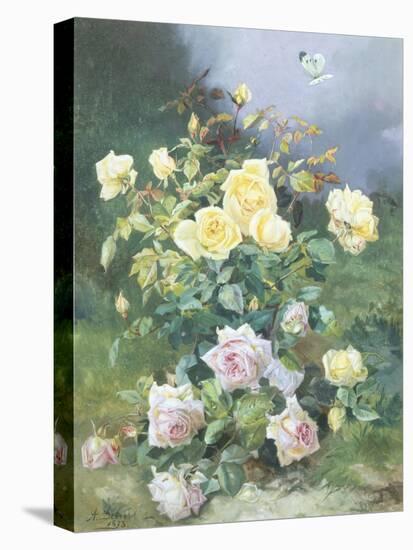 Pink and Yellow Roses-Alexandre Debrus-Stretched Canvas