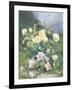 Pink and Yellow Roses-Alexandre Debrus-Framed Giclee Print