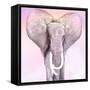 Pink Animals 2-Kimberly Allen-Framed Stretched Canvas