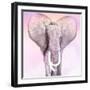 Pink Animals 2-Kimberly Allen-Framed Art Print