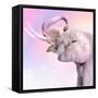 Pink Animals 3-Kimberly Allen-Framed Stretched Canvas