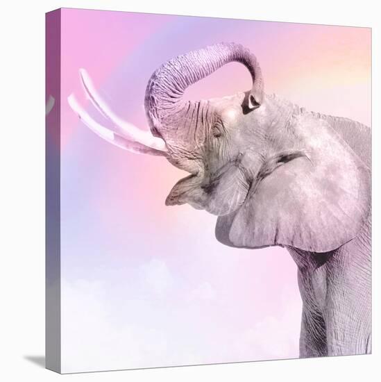 Pink Animals 3-Kimberly Allen-Stretched Canvas