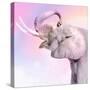 Pink Animals 3-Kimberly Allen-Stretched Canvas