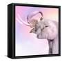 Pink Animals 3-Kimberly Allen-Framed Stretched Canvas