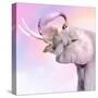 Pink Animals 3-Kimberly Allen-Stretched Canvas