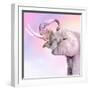 Pink Animals 3-Kimberly Allen-Framed Art Print