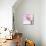 Pink Animals 3-Kimberly Allen-Mounted Art Print displayed on a wall