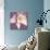 Pink Aquiligia-Tom Quartermaine-Giclee Print displayed on a wall