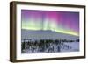 Pink Aurora over Boreal Forest in Canada-Stocktrek Images-Framed Photographic Print