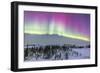 Pink Aurora over Boreal Forest in Canada-Stocktrek Images-Framed Photographic Print
