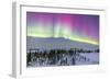 Pink Aurora over Boreal Forest in Canada-Stocktrek Images-Framed Photographic Print