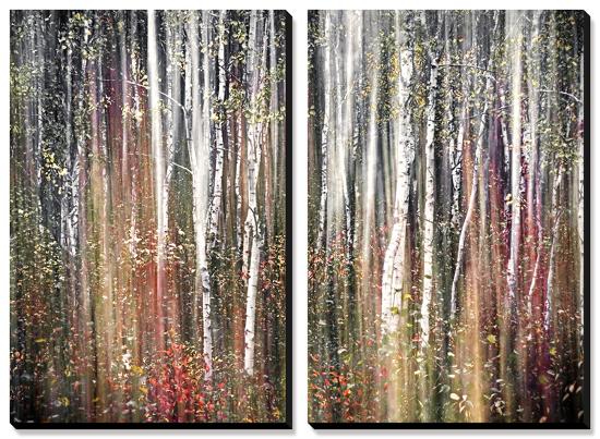 Pink Autumn-Ursula Abresch-Stretched Canvas