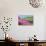 Pink Azalea Field-VSARTS-Photographic Print displayed on a wall