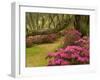 Pink Azaleas and Live Oaks, Magnolia Plantation, Charleston, South Carolina, USA-Corey Hilz-Framed Photographic Print