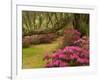 Pink Azaleas and Live Oaks, Magnolia Plantation, Charleston, South Carolina, USA-Corey Hilz-Framed Photographic Print