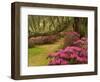 Pink Azaleas and Live Oaks, Magnolia Plantation, Charleston, South Carolina, USA-Corey Hilz-Framed Photographic Print