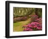 Pink Azaleas and Live Oaks, Magnolia Plantation, Charleston, South Carolina, USA-Corey Hilz-Framed Photographic Print