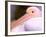 Pink-Backed Pelican, Delta Dunarii, Romania-Gavriel Jecan-Framed Photographic Print