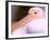 Pink-Backed Pelican, Delta Dunarii, Romania-Gavriel Jecan-Framed Photographic Print