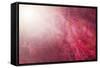 Pink Beads-Philippe Sainte-Laudy-Framed Stretched Canvas