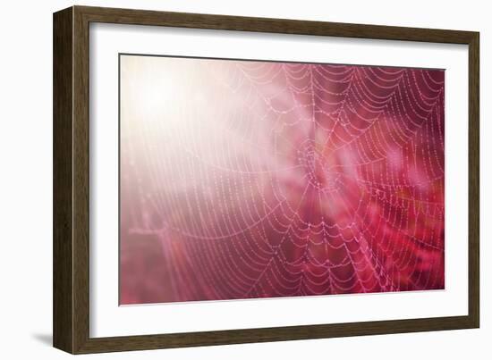 Pink Beads-Philippe Sainte-Laudy-Framed Photographic Print