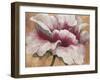 Pink Begonia-Maria Torróntegui-Framed Giclee Print