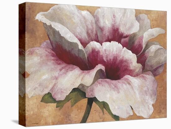Pink Begonia-Maria Torróntegui-Stretched Canvas