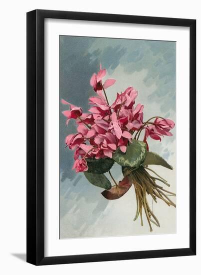 Pink Begonias-null-Framed Art Print