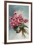 Pink Begonias-null-Framed Art Print