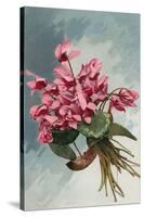 Pink Begonias-null-Stretched Canvas