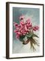 Pink Begonias-null-Framed Art Print