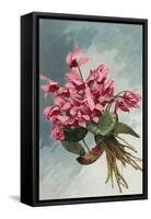 Pink Begonias-null-Framed Stretched Canvas