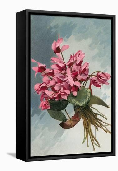 Pink Begonias-null-Framed Stretched Canvas