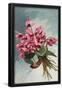 Essential Black