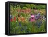 Pink Birdhouse in Flower Garden-Steve Terrill-Framed Stretched Canvas