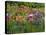 Pink Birdhouse in Flower Garden-Steve Terrill-Stretched Canvas