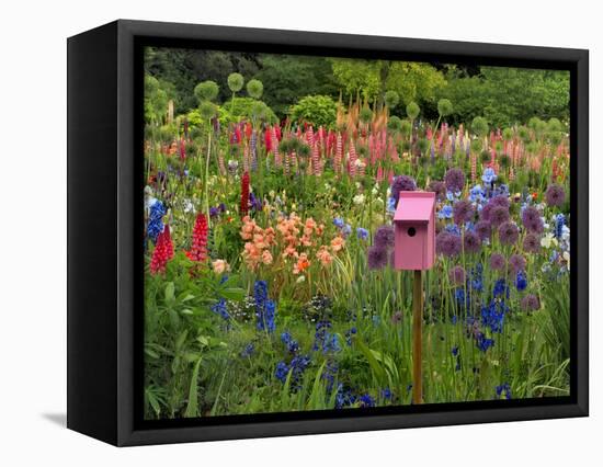 Pink Birdhouse in Flower Garden-Steve Terrill-Framed Stretched Canvas