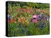 Pink Birdhouse in Flower Garden-Steve Terrill-Stretched Canvas