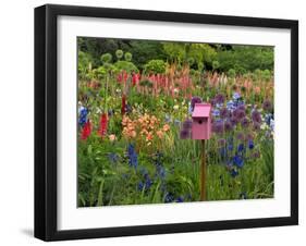 Pink Birdhouse in Flower Garden-Steve Terrill-Framed Photographic Print