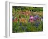 Pink Birdhouse in Flower Garden-Steve Terrill-Framed Photographic Print