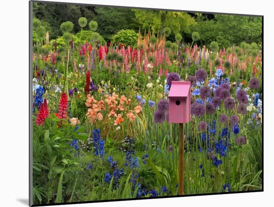 Pink Birdhouse in Flower Garden-Steve Terrill-Mounted Photographic Print
