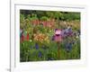 Pink Birdhouse in Flower Garden-Steve Terrill-Framed Photographic Print