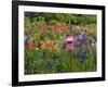 Pink Birdhouse in Flower Garden-Steve Terrill-Framed Photographic Print