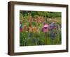 Pink Birdhouse in Flower Garden-Steve Terrill-Framed Photographic Print