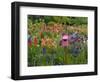 Pink Birdhouse in Flower Garden-Steve Terrill-Framed Photographic Print