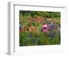 Pink Birdhouse in Flower Garden-Steve Terrill-Framed Photographic Print