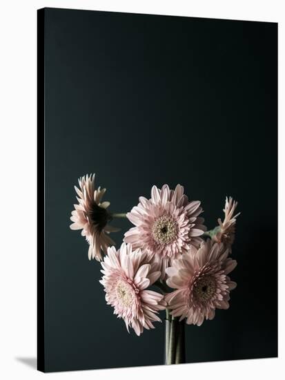 Pink Black-Design Fabrikken-Stretched Canvas